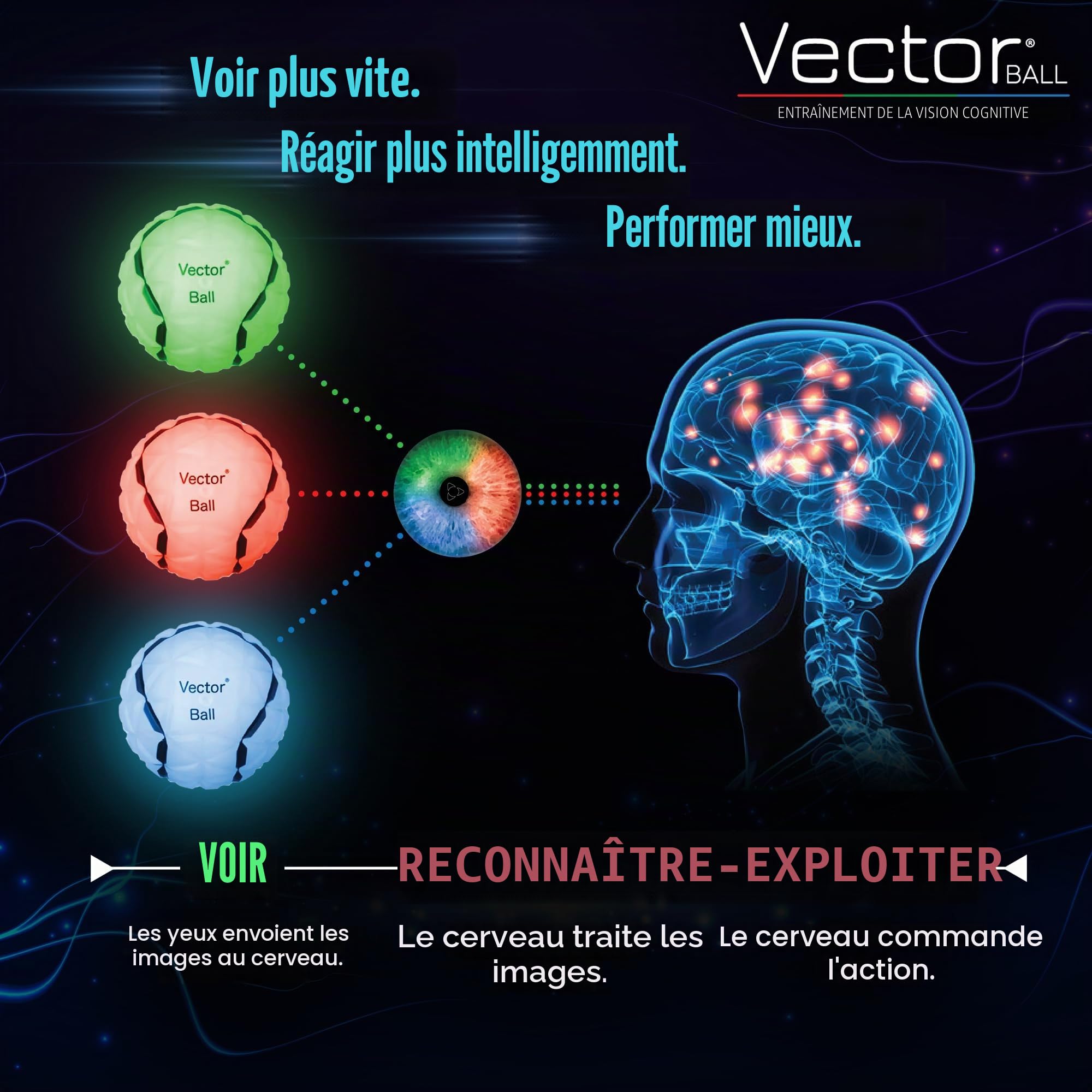 Vector Ball S Balle d'Entraînement Neuro-Visuel - Réflexes, Vitesse de Réaction et Prise de Décision - Technologie Changement de Couleur Aléatoire — Tous Sports — Waterproof, Resistant