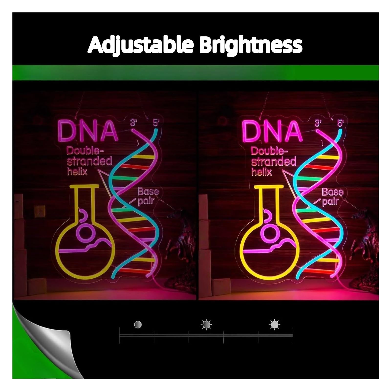 XENITE Luci al Neon Da Parete DNA Double Stranded Helix Insegna Al Neon Luce LED Dimmerabile Per Club Del Libro Aula Lettura Angolo Sala Giochi Arredamento Camera Da Letto 42cmx28cm