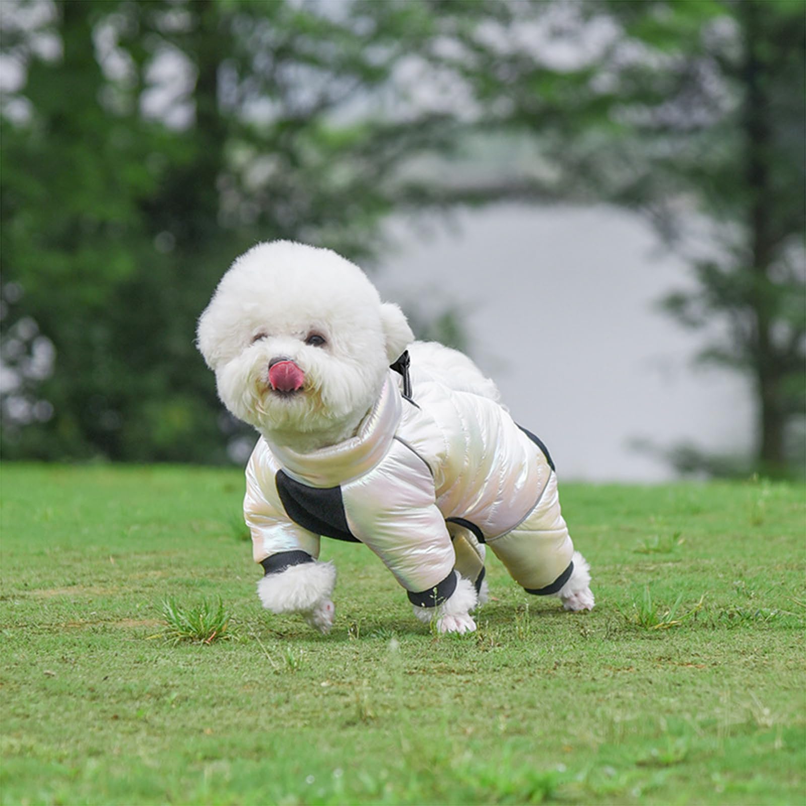 Cappotto Cane Taglia Piccola Cappotto Cane Impermeabile con Strisce Riflettenti Autunno E Inverno Gilet per Cani Antivento E Caldo Cappottino Imbottito per Cane