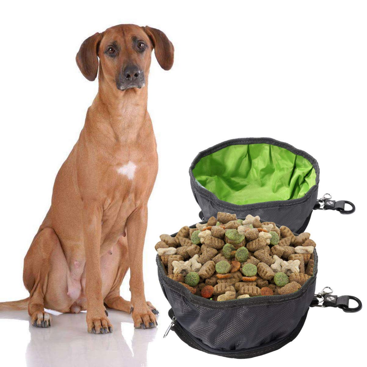INOOMP 4 Pz ciotola di cibo per animali domestici ciotola portatile cane cane portatile per cibo per cani da viaggio per cuccioli ciotole per cani Cane domestico