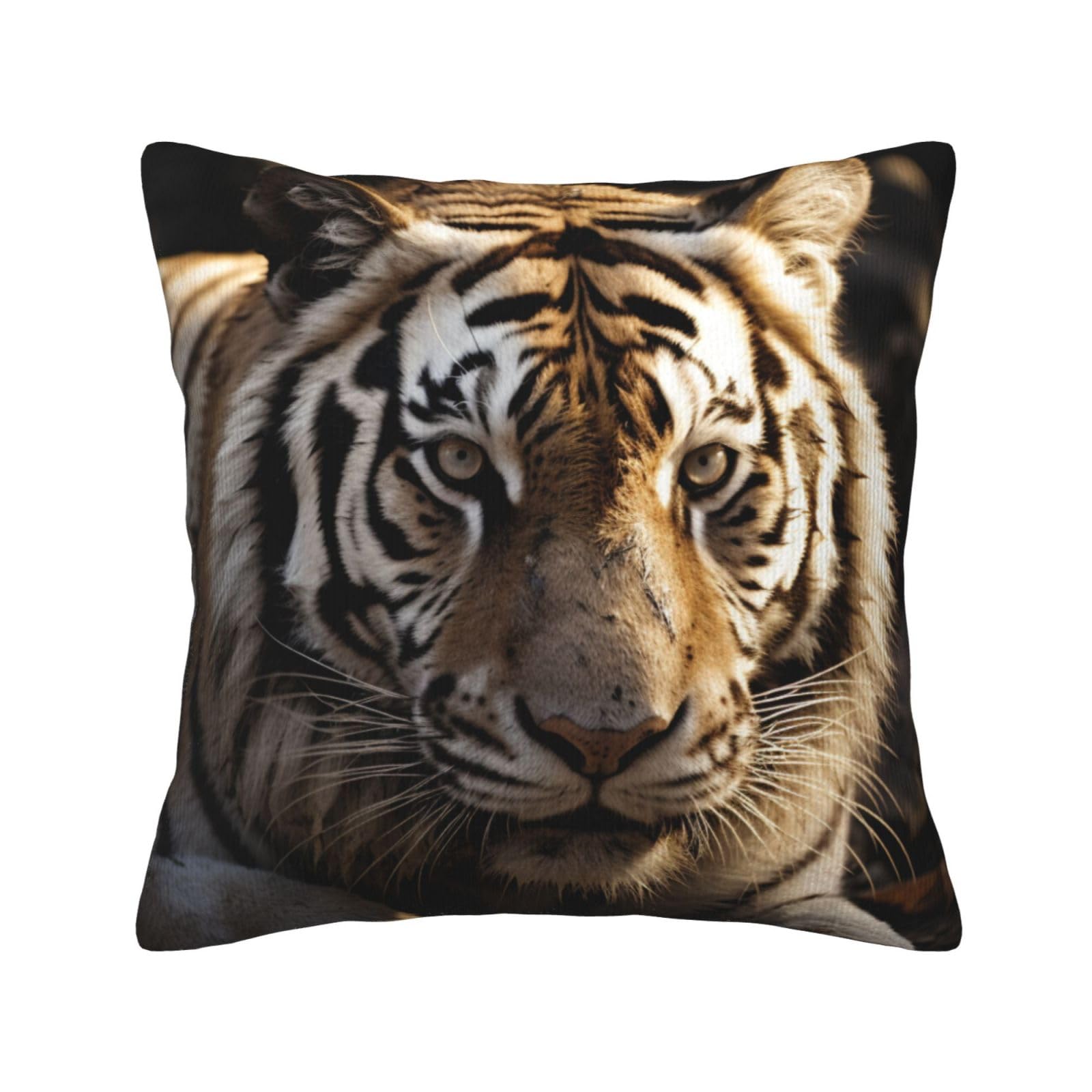 Housses de coussin velours côtelé tigre haut de gamme salon 50x50