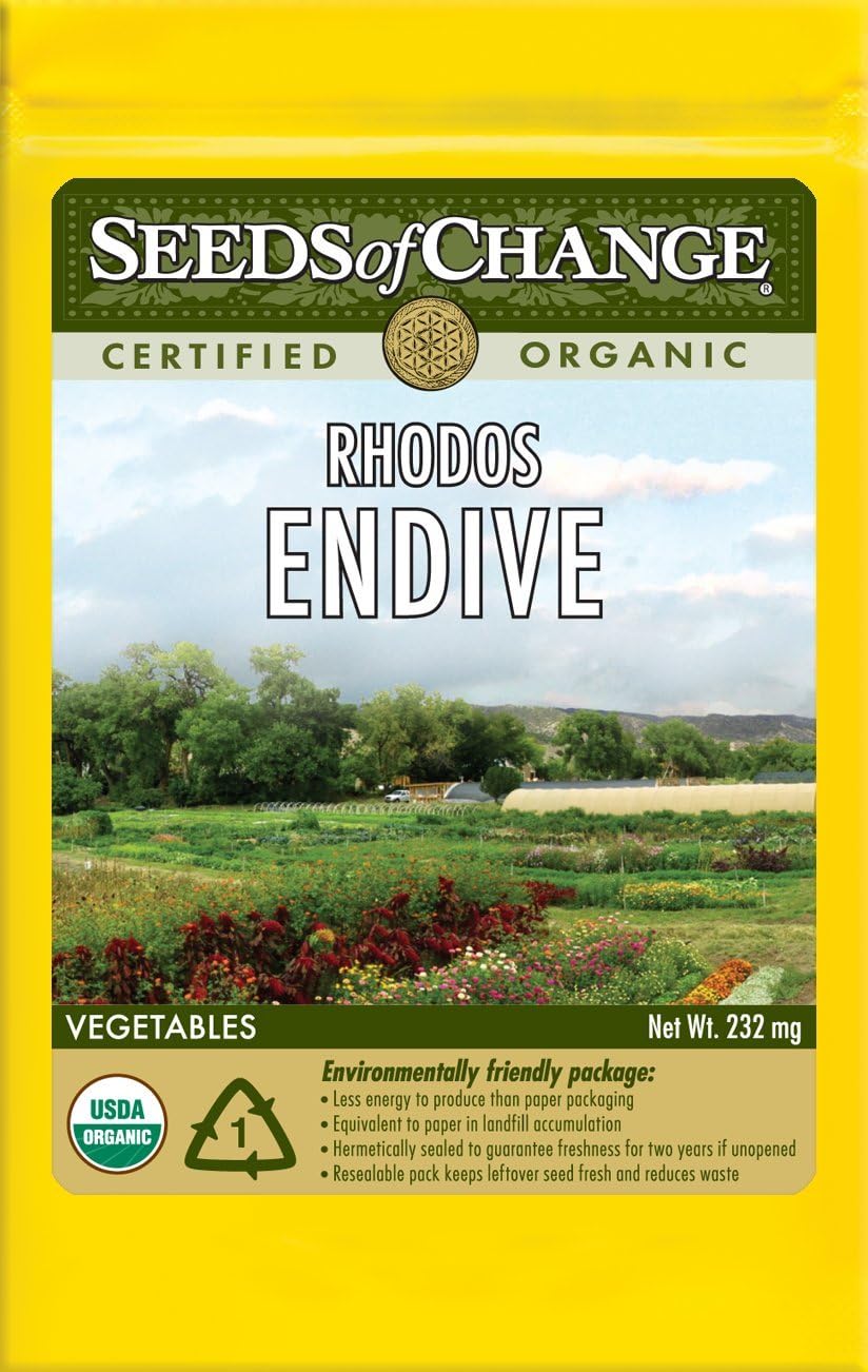 Amazon.com : Seeds of Change S21066 Certified Organic Rhodos Endive ...