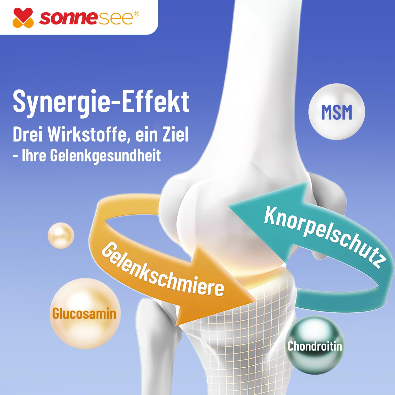 Gelenk-Komplex 16-fach – mit Glucosamin, Chondroitin, MSM, Kollagen, L-Methionin, Vitamin D3 & K2, Zink und Kurkuma – für eine normale Kollagenbildung – Sonnesee