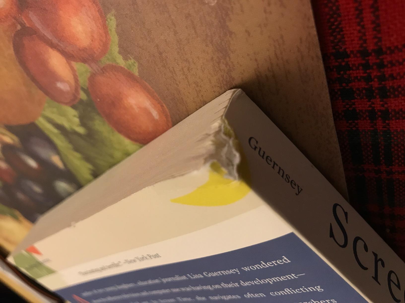 Damaged book don’t buy