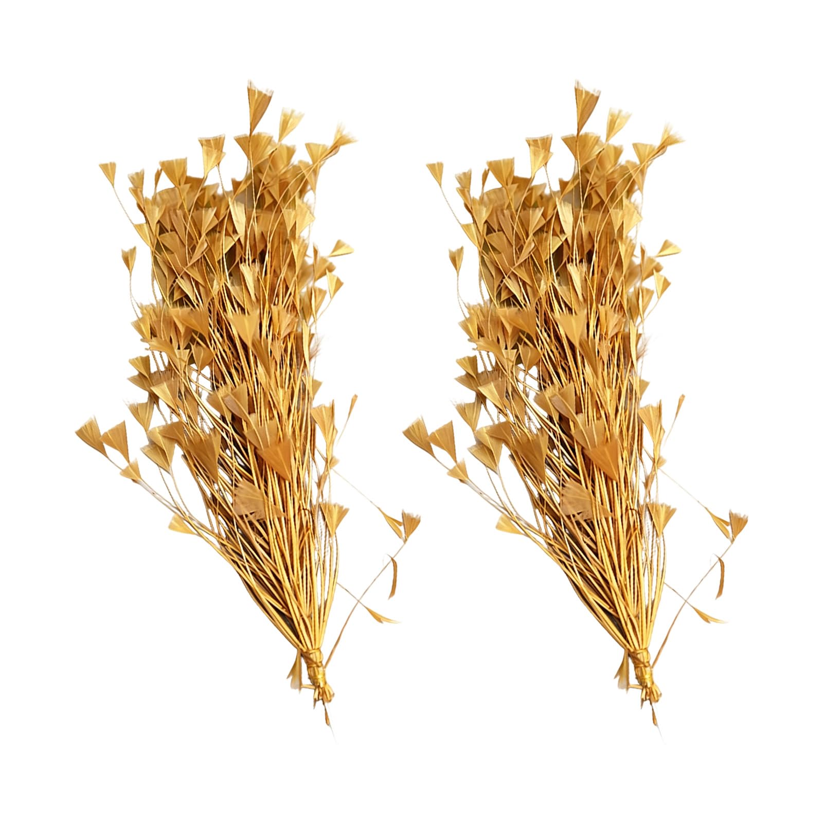 Zeiwohndc Golden Artificial Plumage Embellishments Set Of 2 For Clothing Sewing And Home Decoration Celebratory Down Embellishments