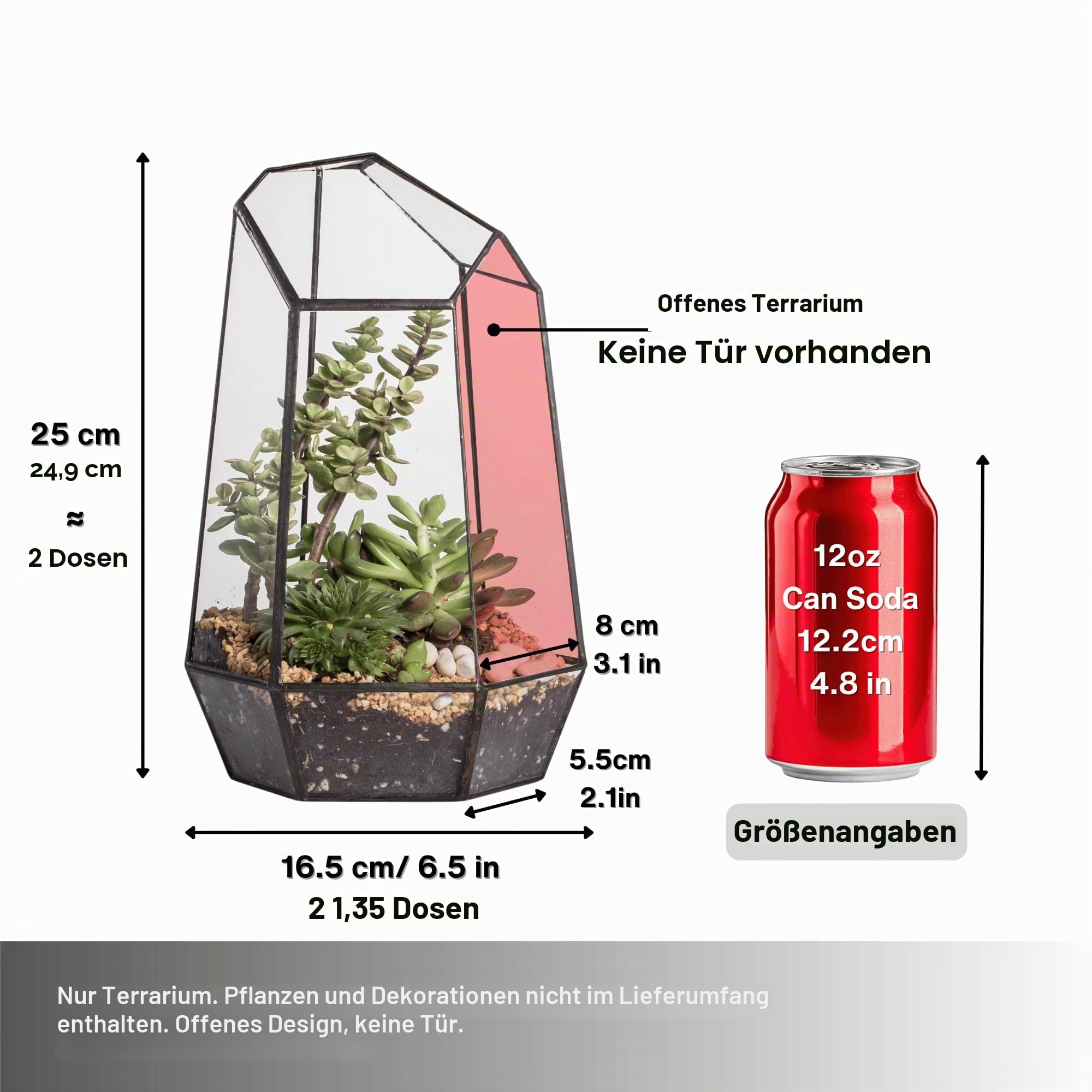 NCYP 16,5x16,5x25cm Glas Geometrisches Terrarium Keine Tür, unregelmäßiges Prisma,25 cm hoch Blumentopf für Sukkulenten, Farn (Ohne Pflanzen)