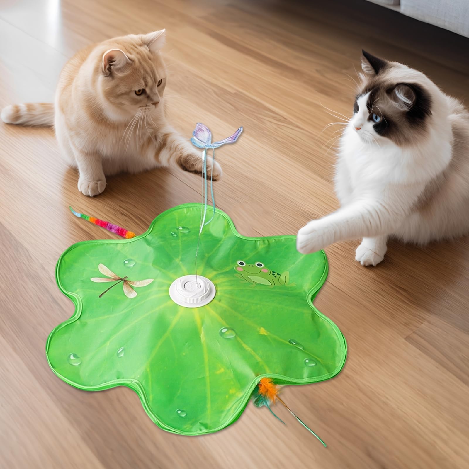 TWSOUL Giocattolo elettrico per gatti da interni, gioco interattivo con molla automatica, suoni degli uccelli e ricarica USB, giocattolo per gatti e gattini, verde