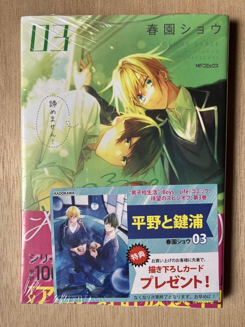 平野と鍵浦 3巻 未来屋書店 特典 イラストカード 付 Amazon.co.jp: 平野と鍵浦 3巻 未来屋書店 特典 イ カード 付