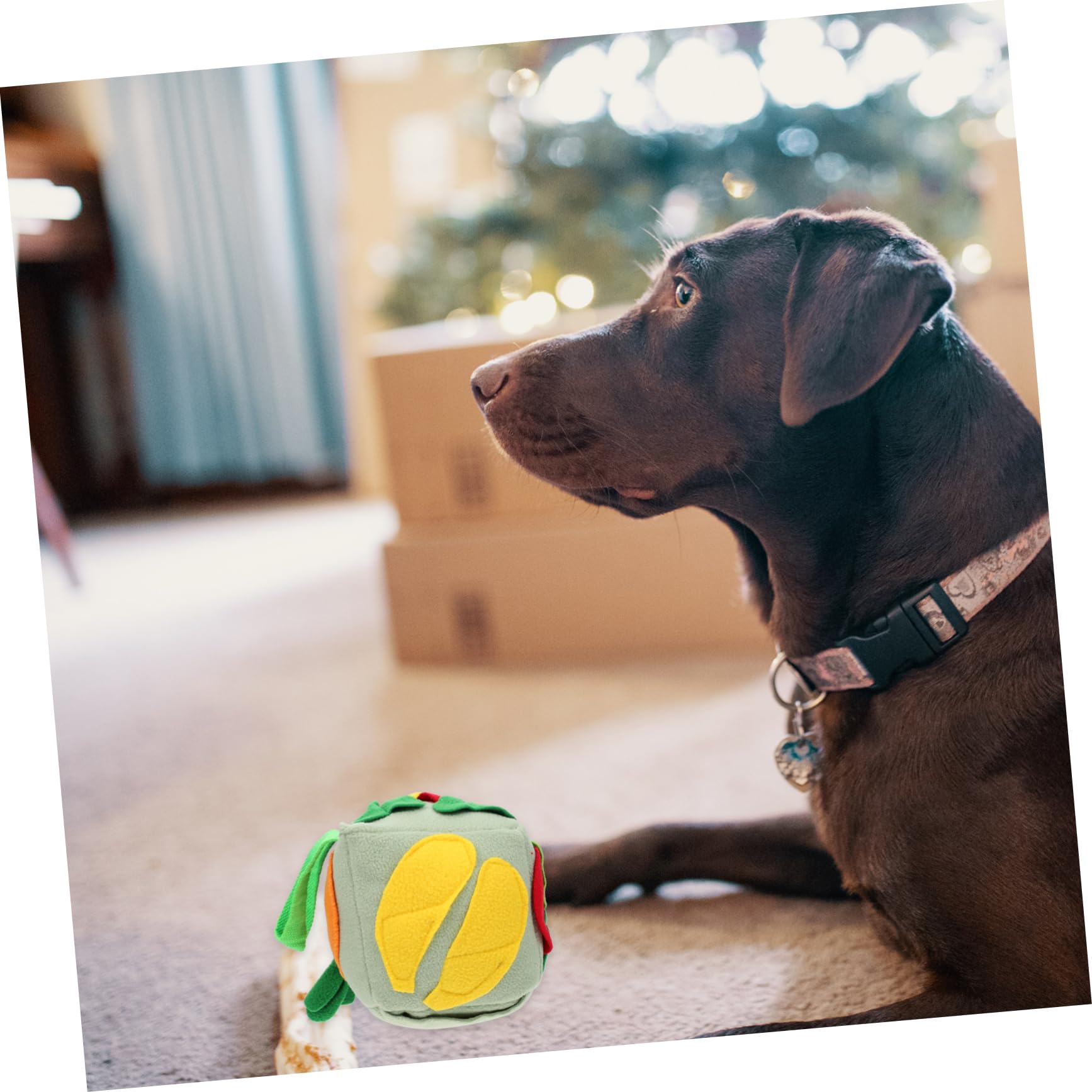 Sosoport 2stücke Hundeschnüffelball Aus Futterleckspielzeug Interaktives Spielzeug Für Geistige Anregung Für Kleine Und Mittelgroße Hunde Fördert Beschäftigung Und Zahnpflege