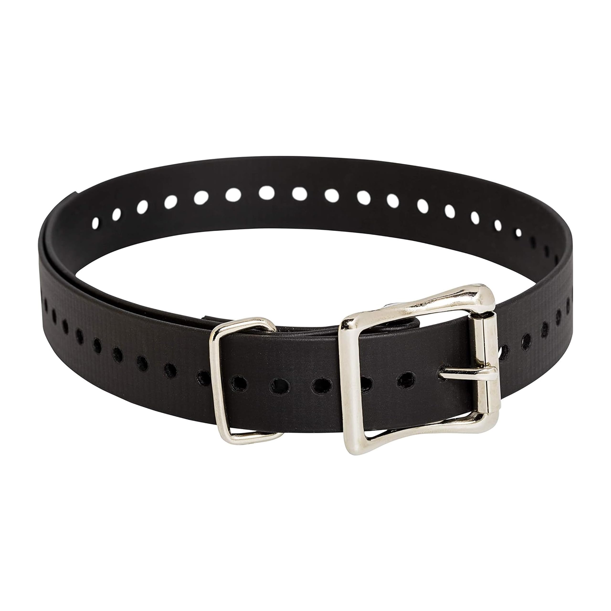 D-Strap1-BLK 1 in. E Collar Replacement Strap - Black
