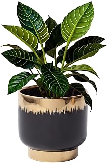 LB Black Gold Ceramic Planters for Indoor Plants, Succulent Plant Pots Ceramic Plant Pot, Modern Flower Pots for Living Room Office Home Decor, Round Flower Pot of 4.3 Inch(Plant Not Included)