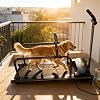 Dog Running Training Machine, Dog Treadmill, Pet Running Machine with Handrails & Guardrails, LCD Monitor, Portable with Wheels