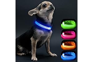 Light Up Dog Collars for Small Dogs