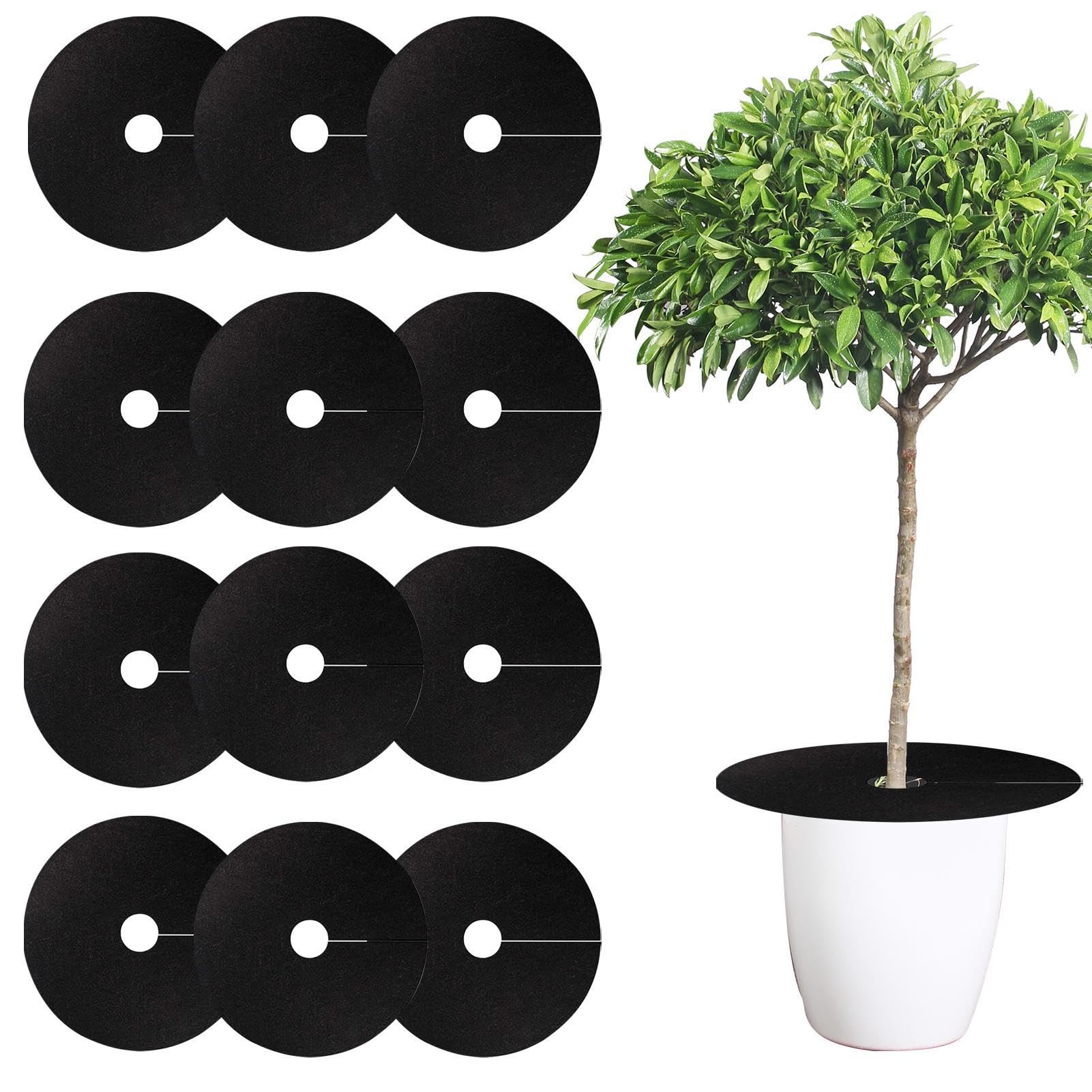 Tapis de protection des racines en feutre non tissé lot de 12 collerettes biodégradables de luxe