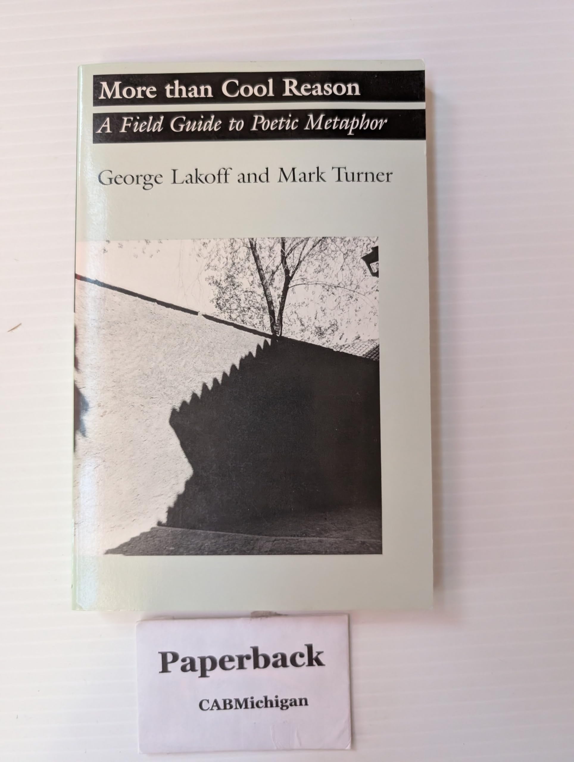 More than Cool Reason: A Field Guide to Poetic Metaphor