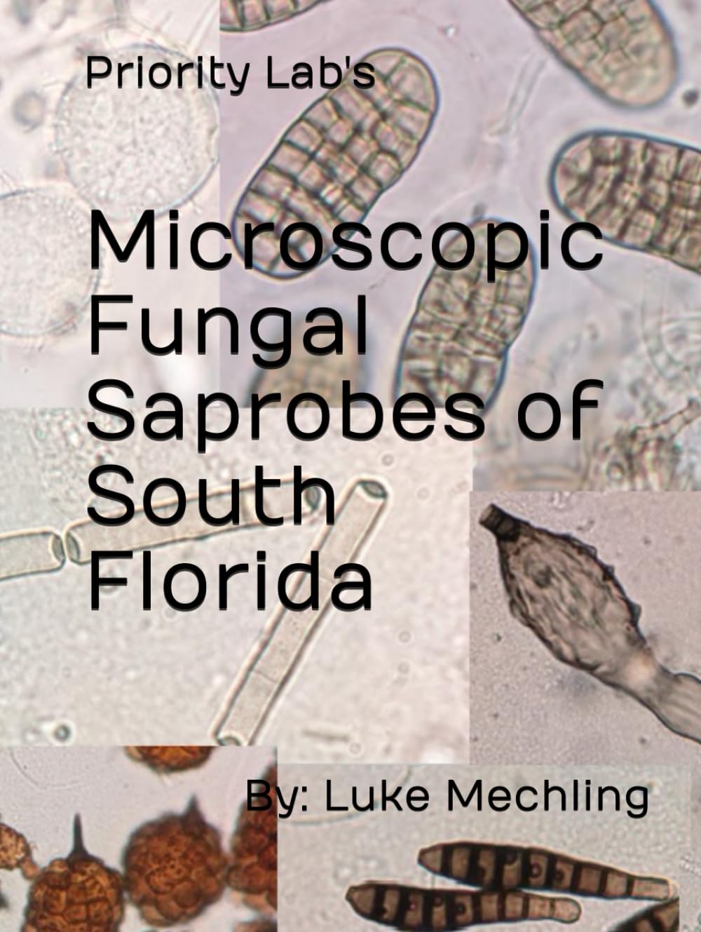 Microscopic Fungal Saprobes of South Florida