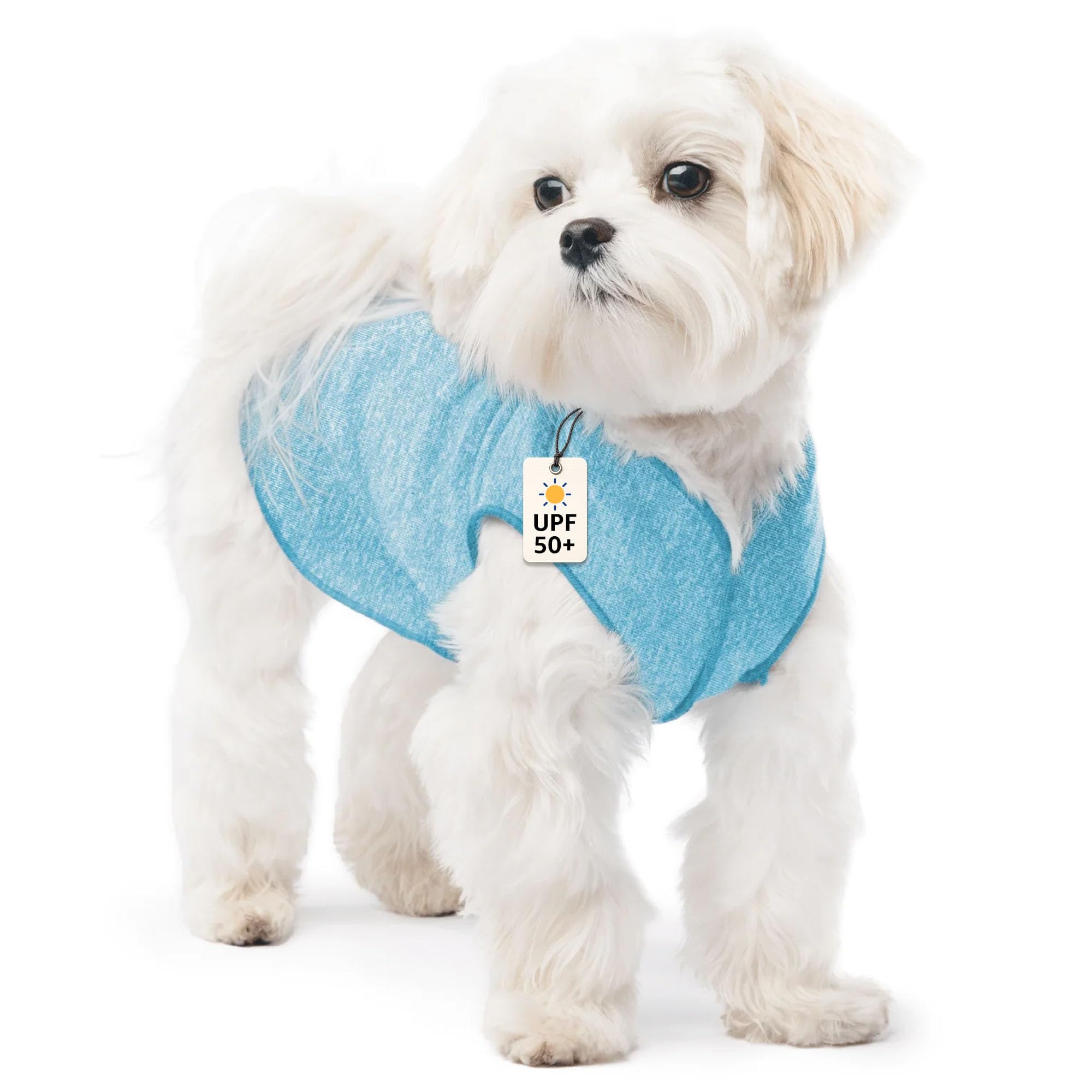 Amazon.co.jp: Goldpaw 犬用サンシャツ UV保護付き - 軽量、犬用涼しげ