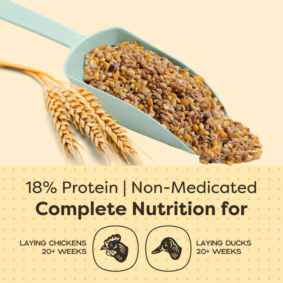 Scratch and Peck Feeds Whole Grain Layer Mash + Corn Chicken and Duck Feed - 40 lbs Bag - Soy-Free - 18% Protein, Certified Organic and Non-GMO Project Verified Chicken Food