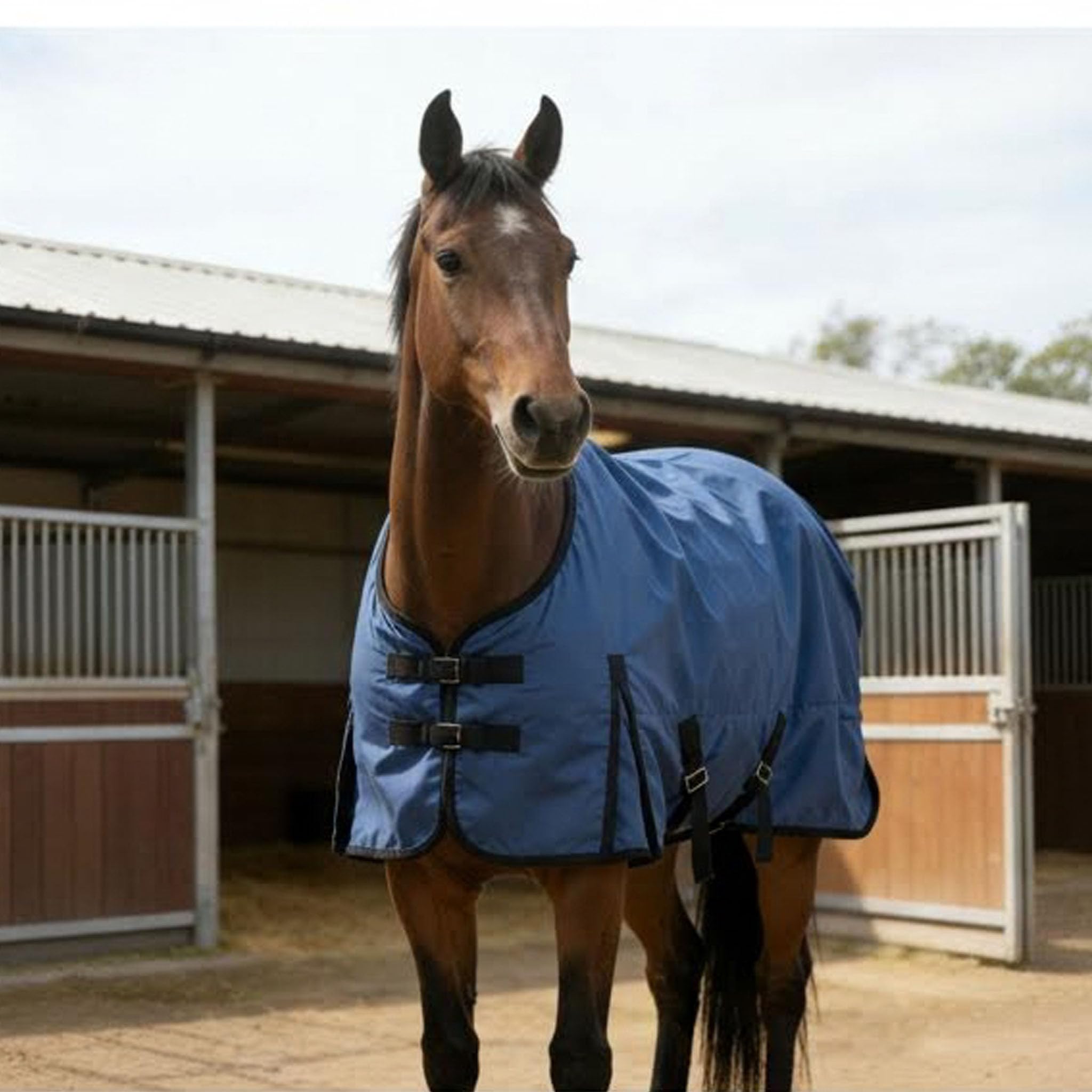 Coperta impermeabile a forma di cavallo 145 135 155 coperta impermeabile con fodera interna 1200D blu 125 cm