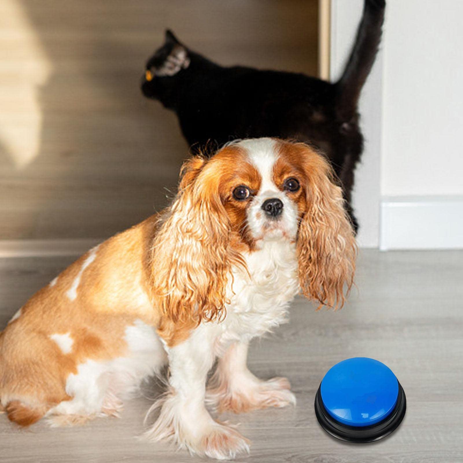 Teksome Pulsante Registrabile - Pulsanti parlanti registrabili per Cani | Cicalino di addestramento al comportamento degli Animali Domestici, Registrazione e Riproduzione di 30 Secondi, Regalo