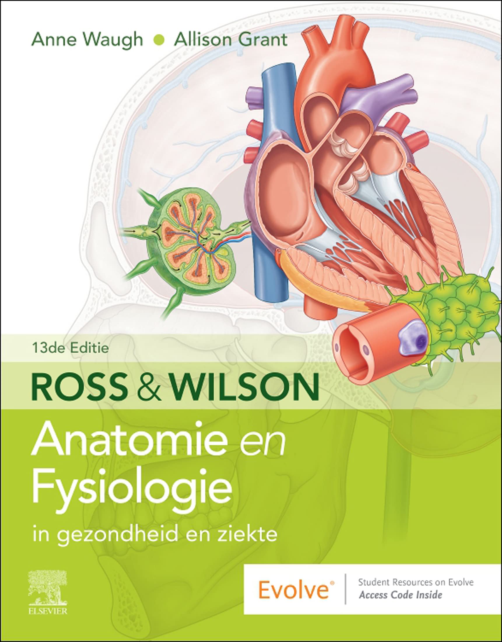 Ross and Wilson Anatomie en Fysiologie in gezondheid en ziekte - E-Book (Dutch Edition)