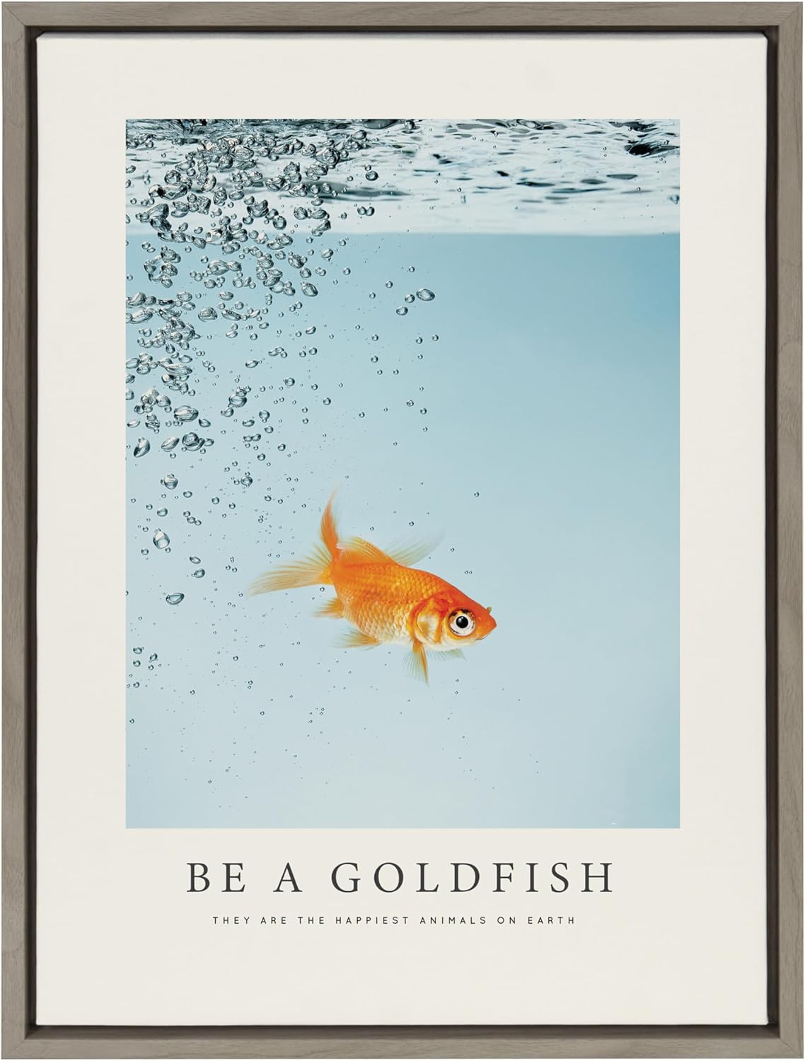 Gray Framed Canvas Print with Goldfish, 18" x 24"