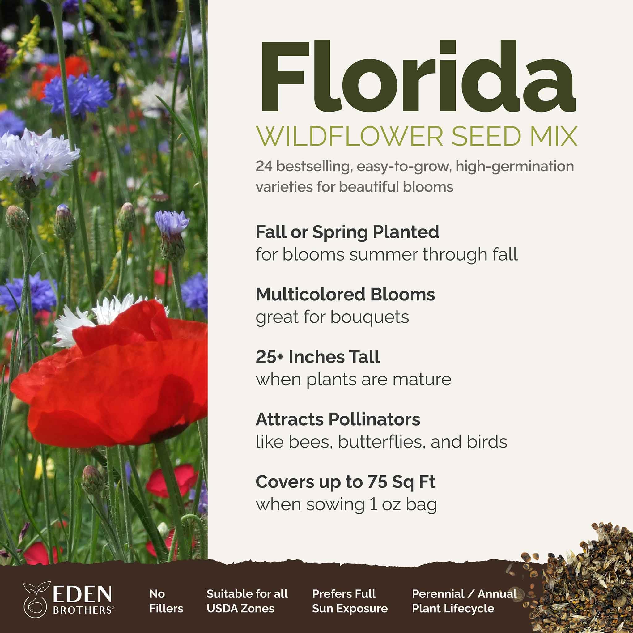 Amazon.com : Eden Brothers Florida Wildflower Mixed Seeds for