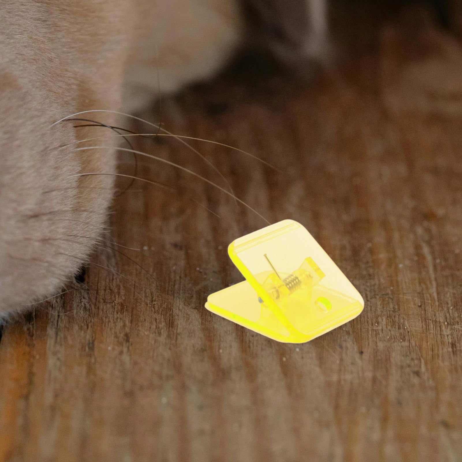 Levemolo 6 Pack Pet Training Pad Holder Heavy Duty Wall Mount for Dog Sturdy Clips for Indoor Outdoor Easy to Install