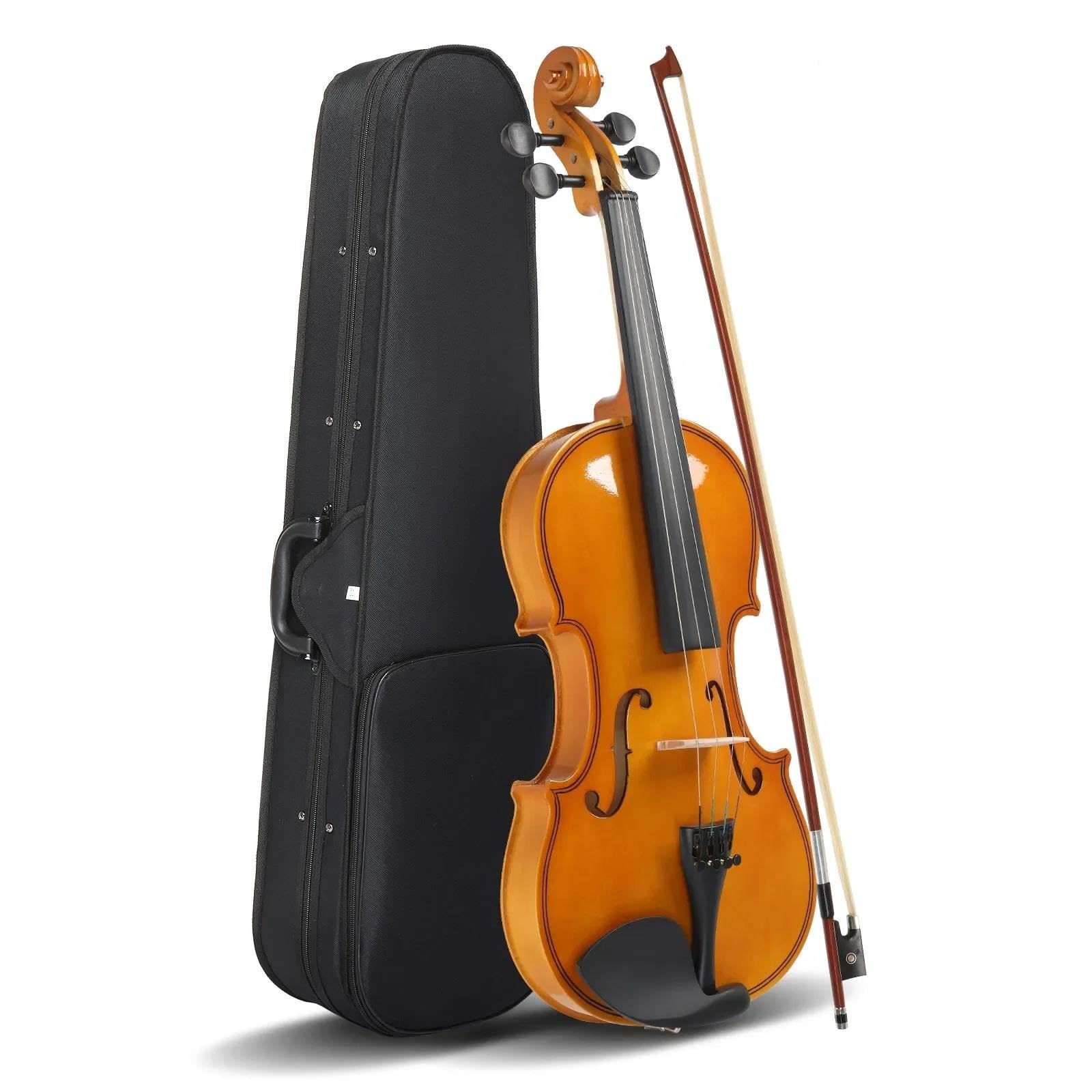 Set Di Violini 4/4 Di Dimensioni Standard Adatti A Principianti Adulti Violino