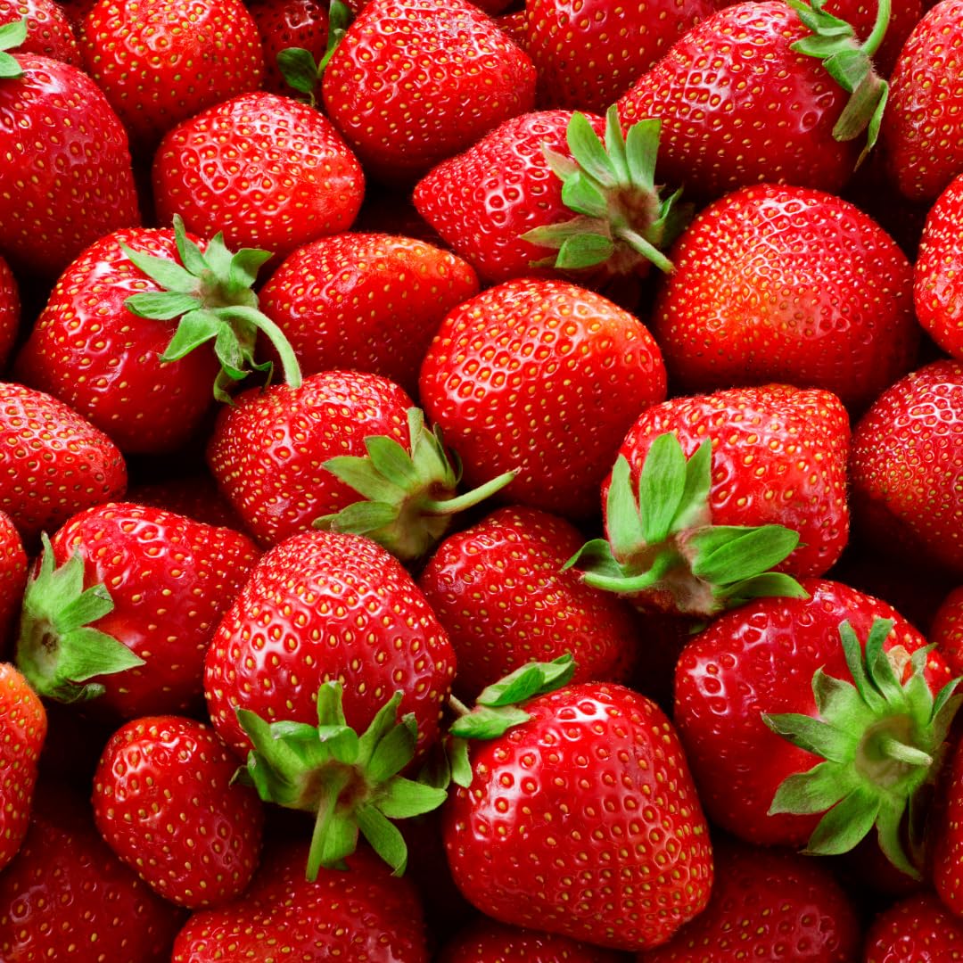 All Star Strawberry Plants - Grow Giant Strawberries - Bare Root Plants - No Ship to California (10 Strawberry Plants)