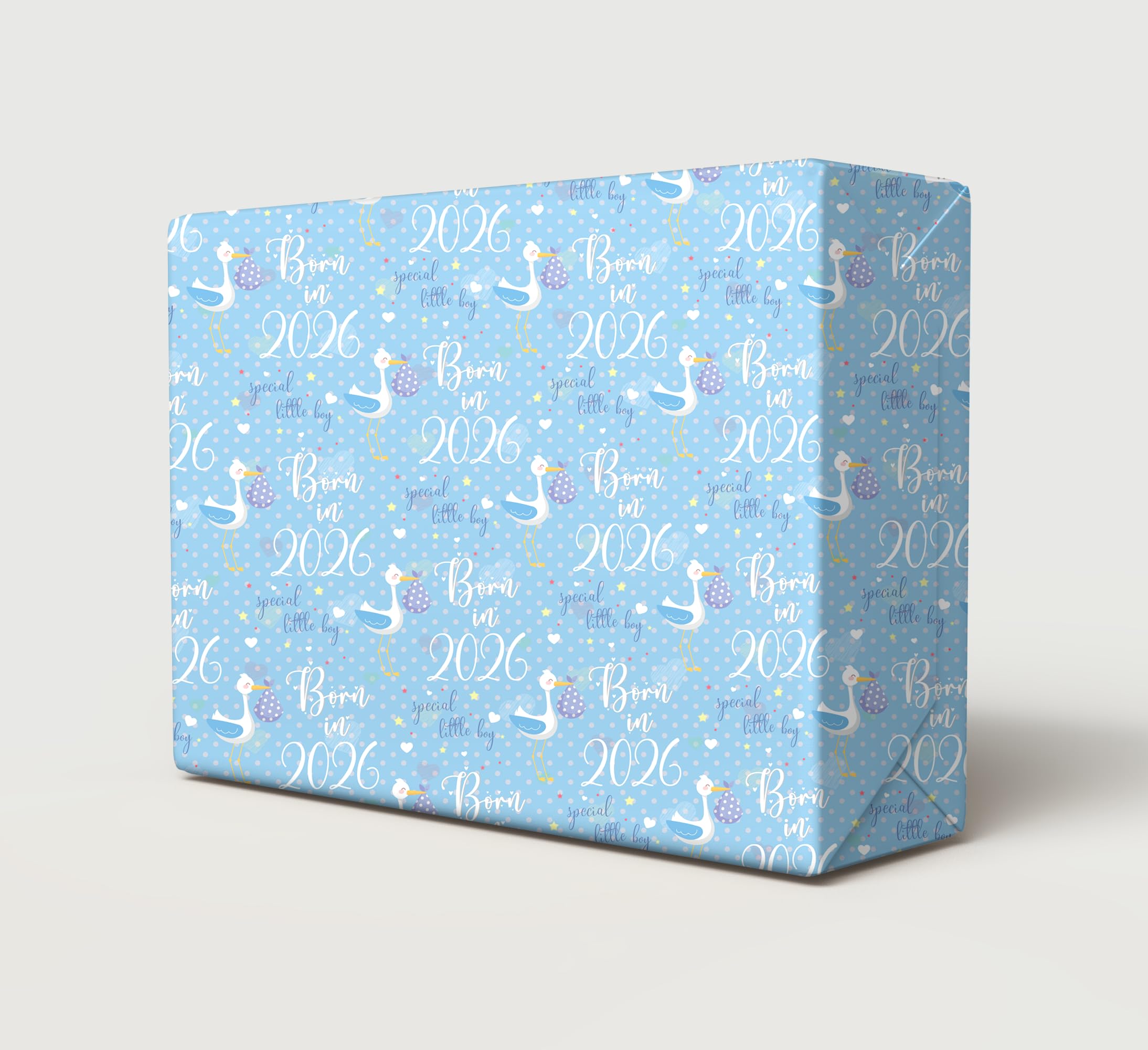 2 Sheets 2 Tags Born In 2026 Boy Wrapping Paper New Baby Arrival Cute Birthday Gift wrap Blue and White (PA)