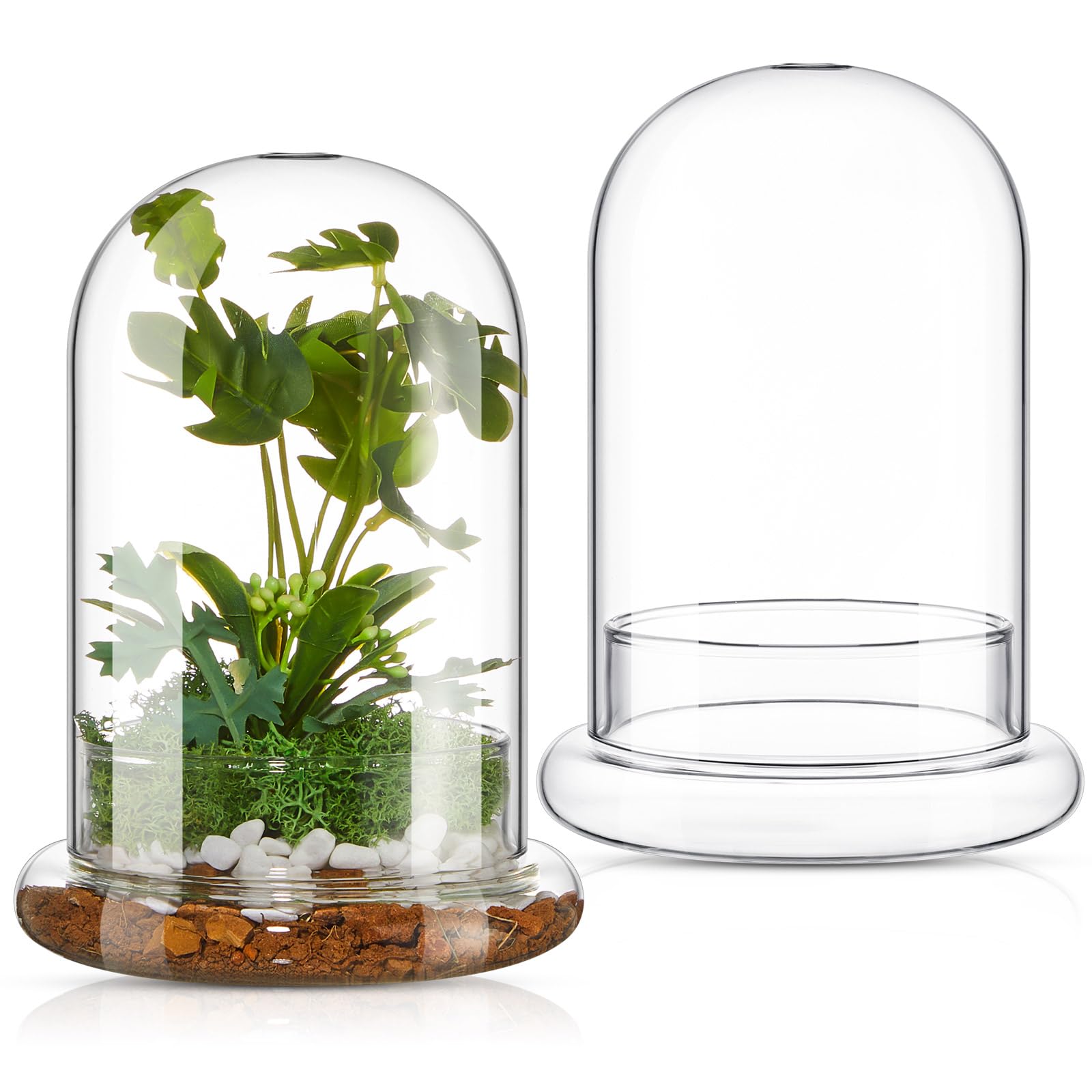 2 Pcs 5.9 x 7.9 Inch Glass Terrarium Clear Terrarium Planter Container Glass Dome Cloche with Airhole and Base for Plant Flower Home Tabletop Display Centerpiece, Plants Not Included