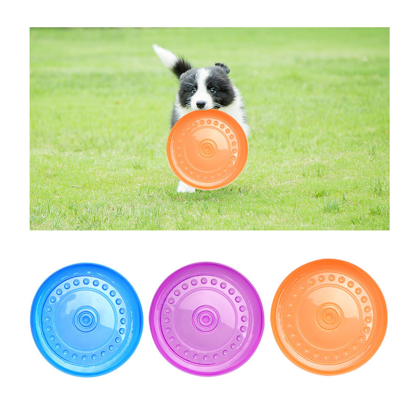 Amazon | aninako 犬用フリスビー 投げるおもちゃ 3個セット