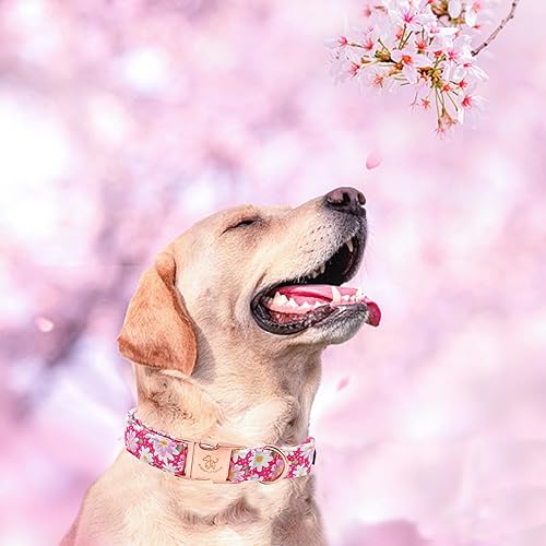 Miniatura 4 de Elegant little tail - Collar ajustable para mascotas, lindo y duradero, diseño floral en color rosa, para verano, regalo para perra de tamaño grande