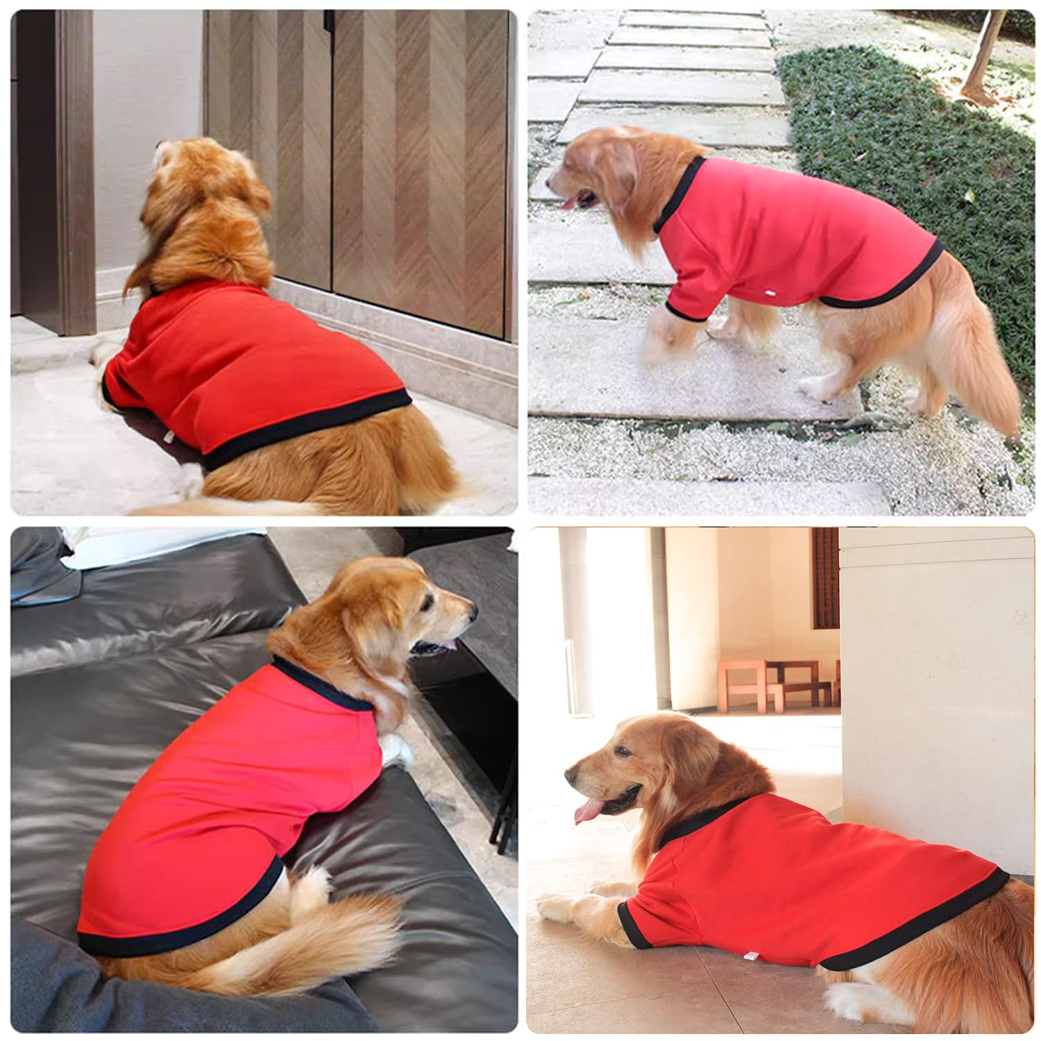 Ropita Para Perros Pequeños Sudaderas Para Mascotas Shein Sudadera