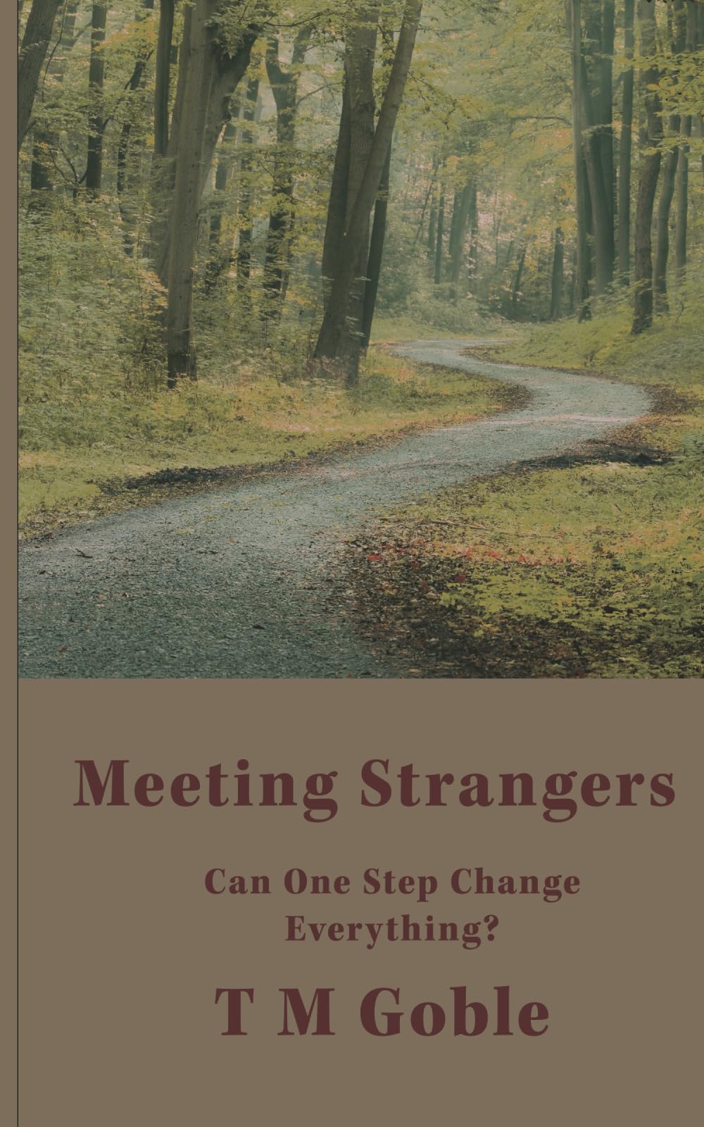 Meeting Strangers (Contemporary Fiction)