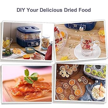 Amazon.co.jp: ディハイドレーター食品乾燥機、35-70°調節可能な