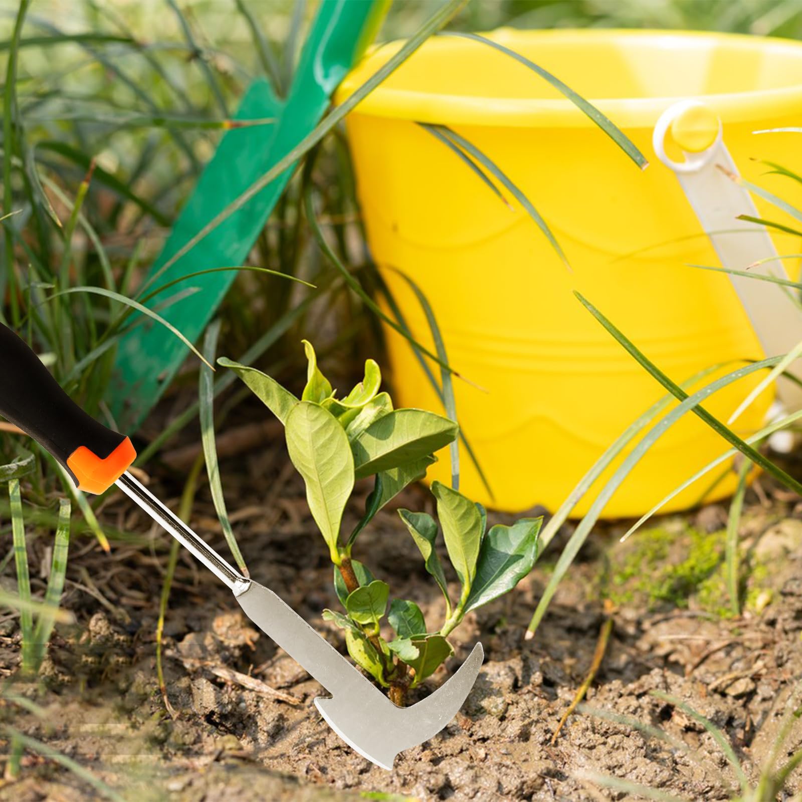 Estirpatore Erbacce Manuale Sarchiatore Manuale Per Erbacce
