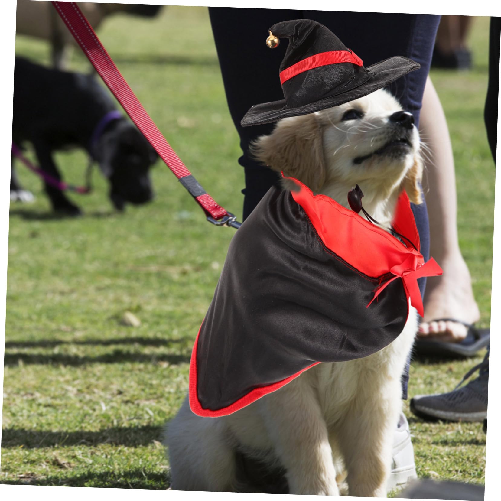 WOONEKY 3 Set Di Costumi Per Cani Fascia Per E Gatto Accessori Per La Fotografia Abbigliamento Creativo Per Animali Domestici Per Halloween