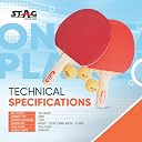 STAG ICONIC 1 Star Table Tennis Playset | 2 Rackets, 3 ABS Balls (Orange) with Cover| Portable Ping Pong Set for Beginners, Kids & Recreational Players | Home, Outdoor & Training Use gallery image