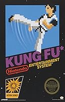 Vista 1 de Pyramid America Póster de Nintendo Kung Fu de 11 x 17 pulgadas