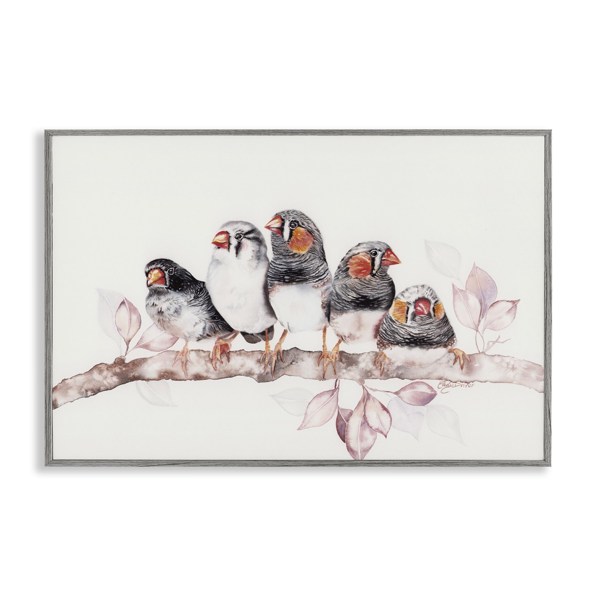 Stupell Industries Five Birds on Branch White Framed Giclee Art, design by Cady Driver, 20 x 30