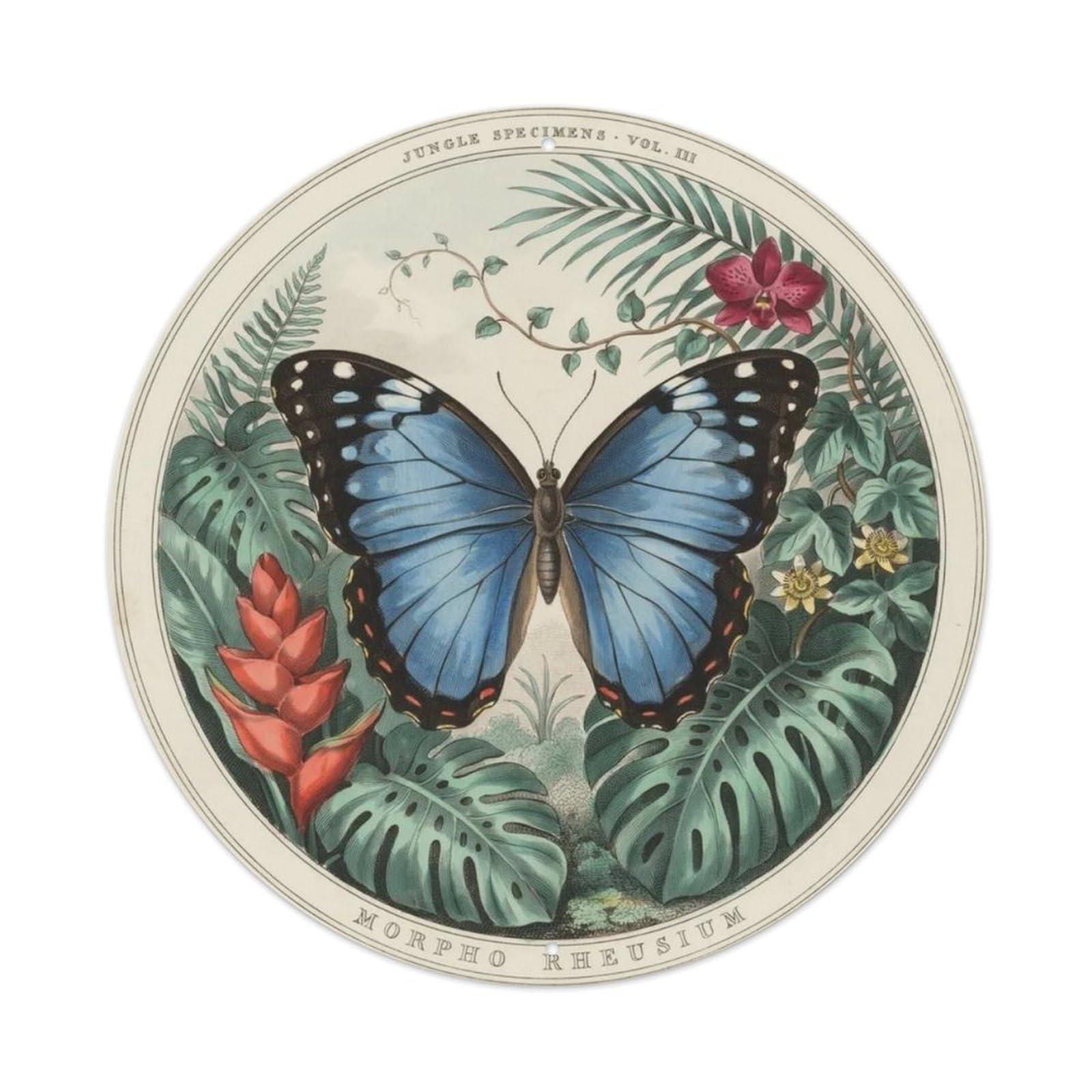 Vintage Blue Morpho Butterfly Metal Tin Sign Plaque