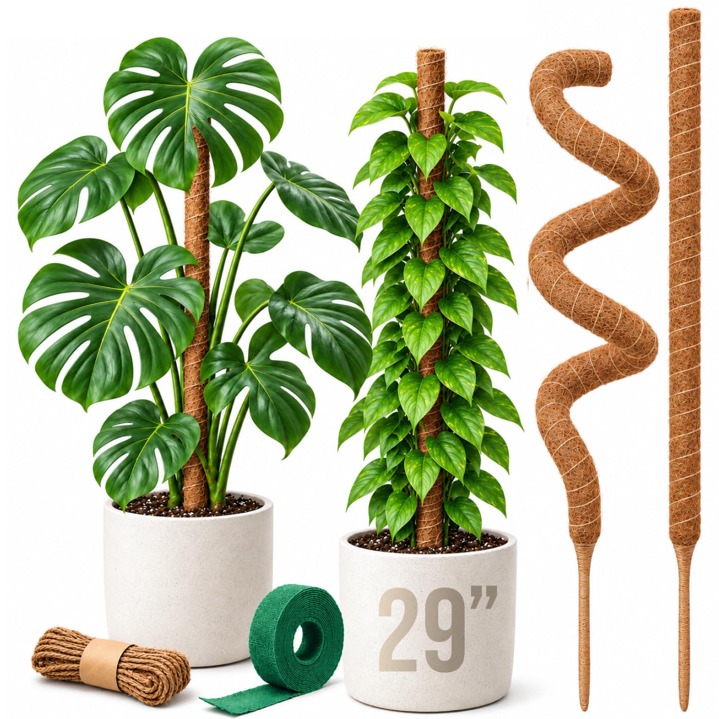 Craft911 Moss Pole - Monstera Support -1
