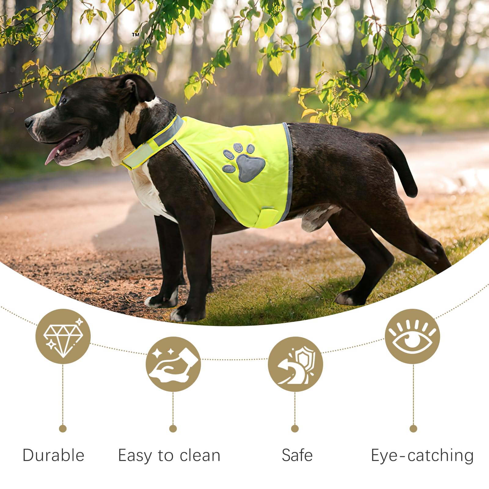 Gilet de Sécurité Réfléchissant pour Chien, Veste Haute Visibilité avec Bandes Réfléchissantes, Confortable et Résistant, pour Promenades Nocturnes et Activités Extérieures, Taille M