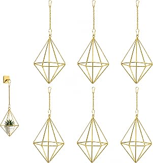 6 Pcs Metal Air Plant Holder Hanging Planter Indoor Tillandsia Decor | Air Plant Holders,Each holder measures 3.15 x 3.15 x 4.69 in for small tillandsia; use indoors or on covered patios