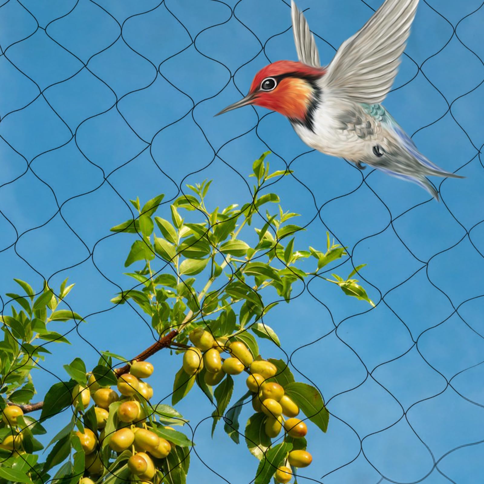 Rete di protezione per uccelli, a maglia stretta, per stagno, per foglie, con ganci, fascette, da giardino, per esterni, aiuole rialzate, per alberi da frutto, protezione da uccelli, galline, piccioni