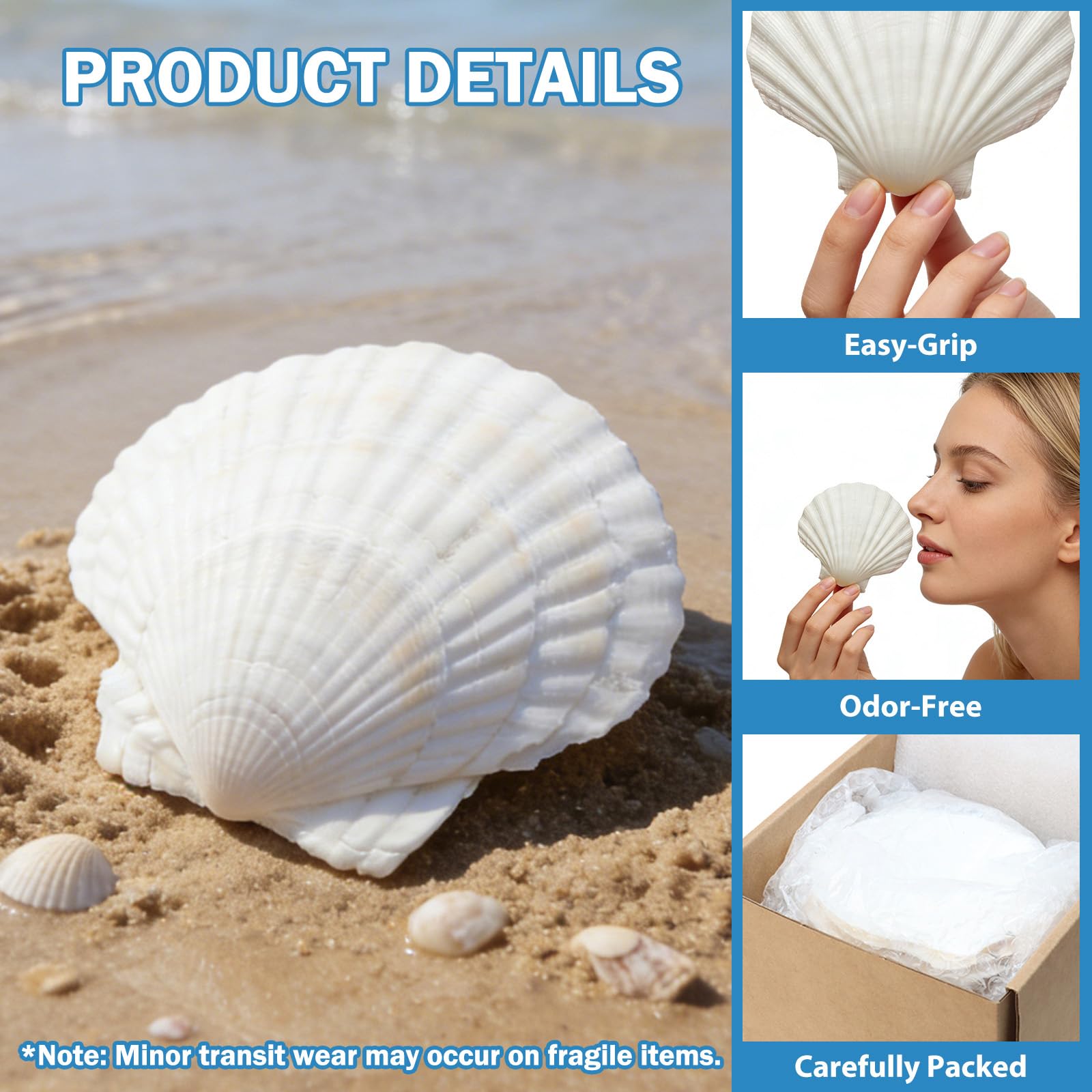 Conchas de vieira grandes de 4 a 5 pulgadas para manualidades, conchas marinas naturales para manualidades, conchas blancas a granel para decoración de pintura, suministros de fiesta