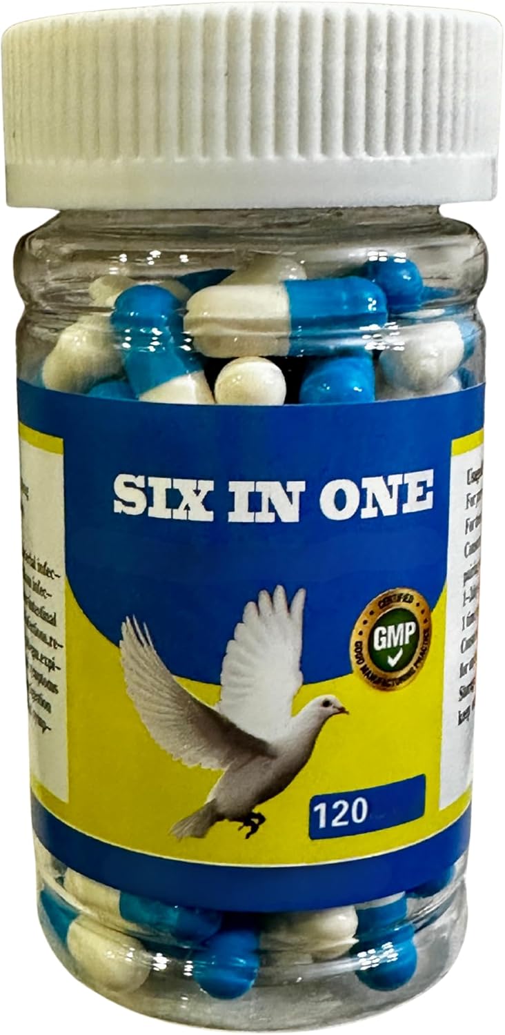 6 in 1 Medicine for Pigeons, Canary, Finches, Parakeet, Cockatiels, Parrots, Cage Small Birds, & Aviary Birds 120 Capsules
