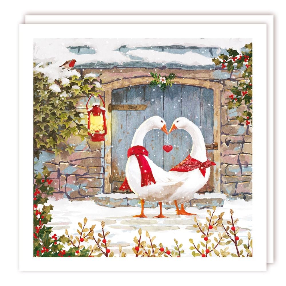 Tracks Publishing Biglietti di Natale di beneficenza, con oche in sciarpe, pettirosso e porta del cottage innevato, ecologici, confezione da 5